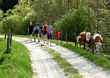 Nordic-Walking im Bayerischen Wald